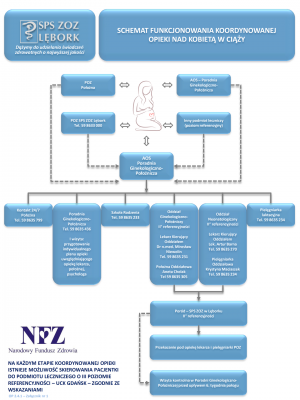 Schemat funkcjonowania Programu Koordynowanej Opieki nad Kobietą w Ciąży (KOC)