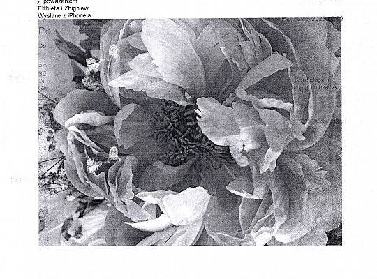 Oddział Chorób Wewnętrznych, Kardiologii i Geriatrii