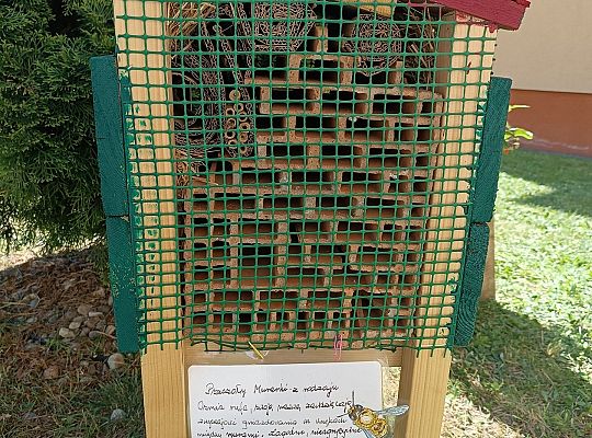 Otwarcie mini szklarni w ramach pracy terapeutycznej w formie hortiterapii