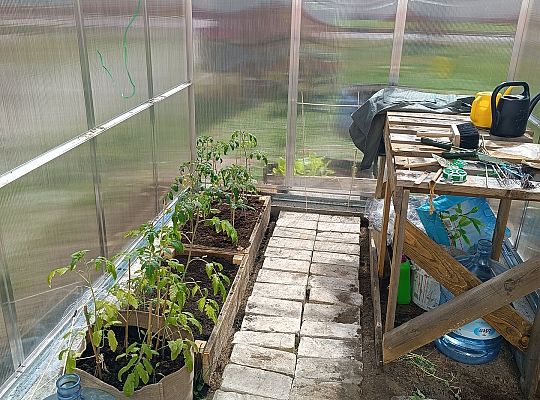 Otwarcie mini szklarni w ramach pracy terapeutycznej w formie hortiterapii