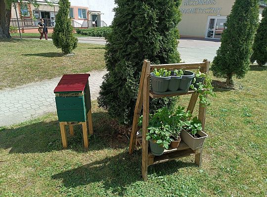 Otwarcie mini szklarni w ramach pracy terapeutycznej w formie hortiterapii