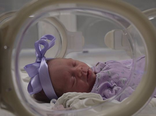 Światowy Dzień Wcześniaka